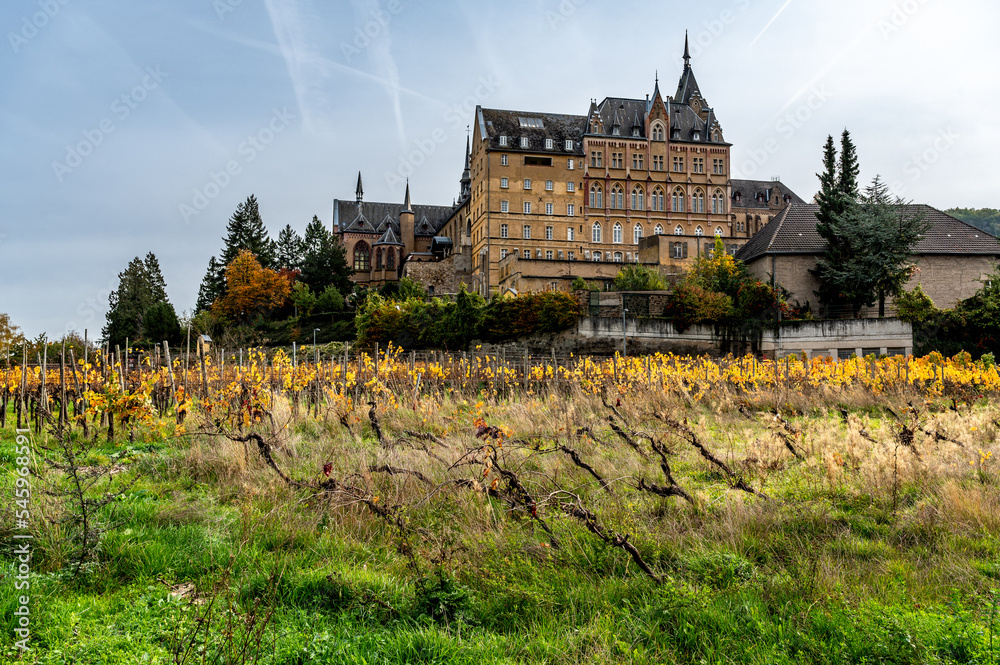Das Kloster Kalvarienberg in Walporzheim mit Weinreben nach der Flutkatastrophe von 2021 im Herst 2022