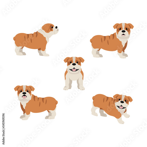 This is a set of dog