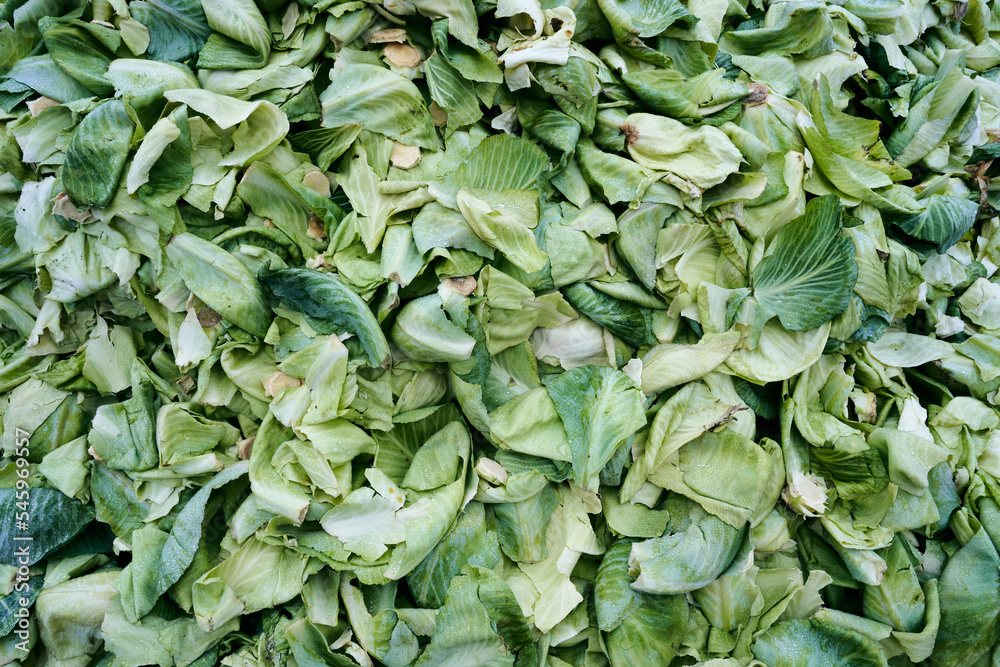 a pile of cabbage leaves a pile of cabbage leaves