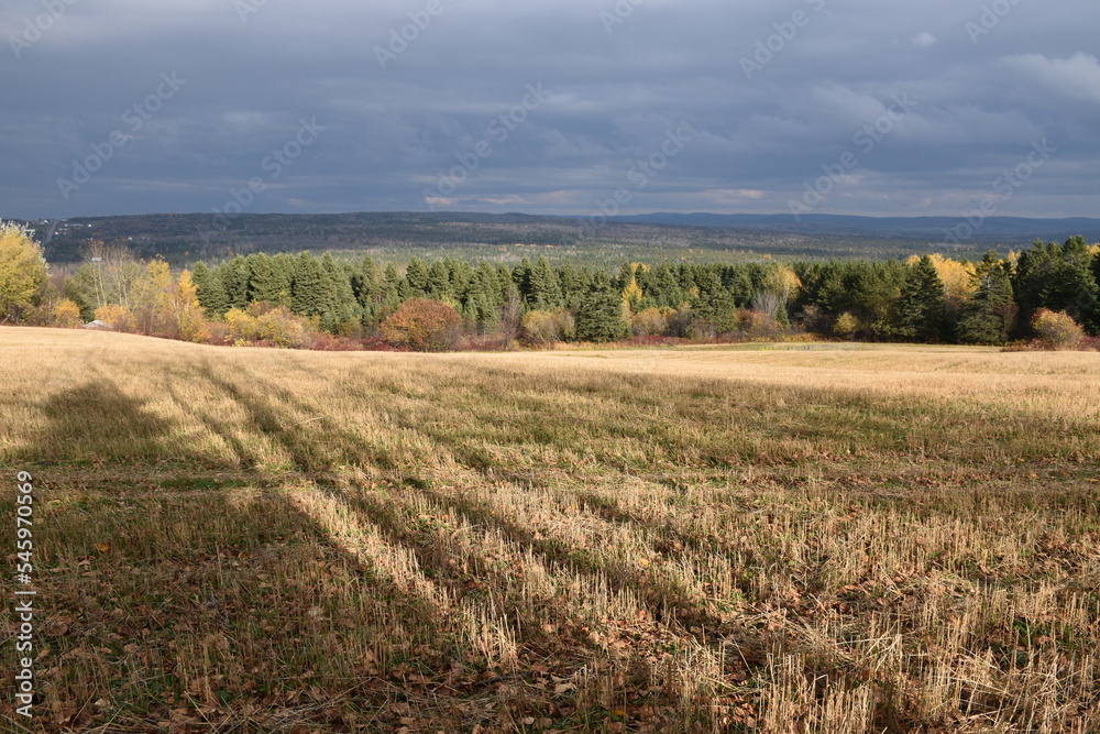 A field after the autumn harvest, Sainte-Apolline, Québec, Canada