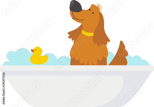 Spaniel on bath flat icon Grooming Dogs bathe