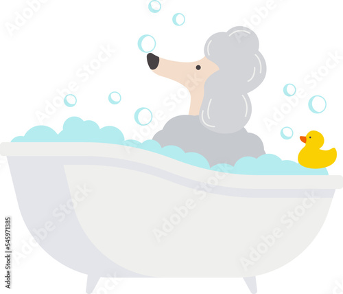 Poodle on bath flat icon Dog bathe Favourite yellow duck