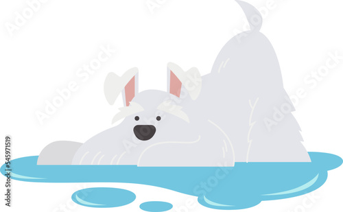 Small dog bathe flat icon Care and love