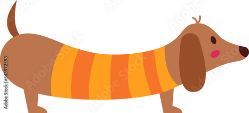 Dachshund Dog in nice suit flat icon Domestic animal