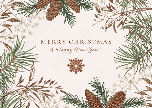 Christmas frame with fir and pine branches, cones, dried grasses. Botanical illustration. Vector holiday card. Natural tones. Sketch.