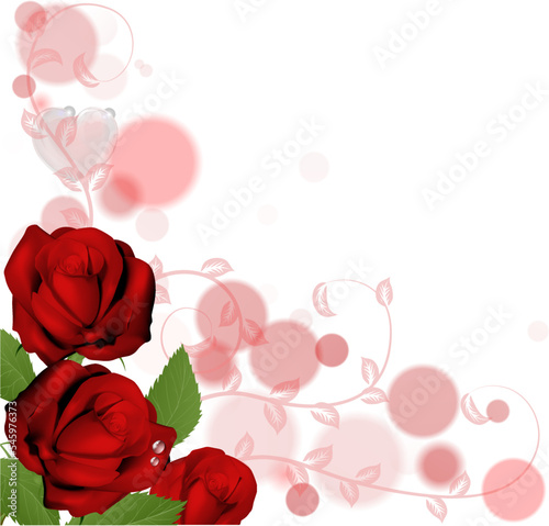 A roses valentines day corn...