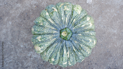 Pumpkin fruit, high angle shot.