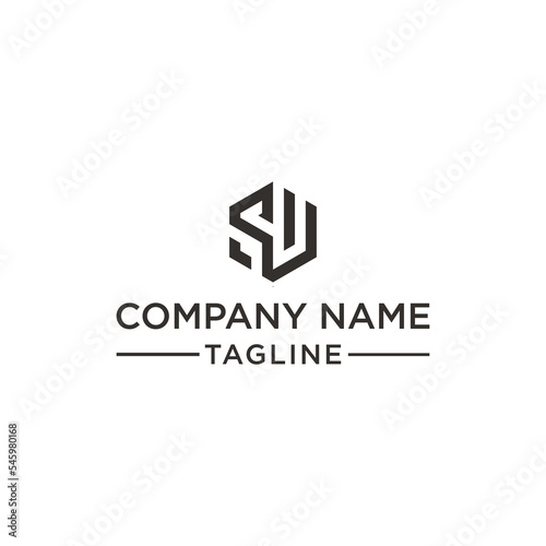 SW hexagon logo design inspiration	