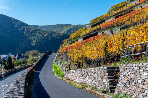 Weinberge im Ahrtal mit Weinstöcken und Weinreben im Herbst 2022 photo