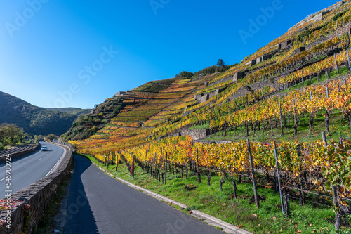 Weinberge im Ahrtal mit Weinstöcken und Weinreben im Herbst 2022 photo