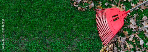 red leaf rake in the garden. territory cleaning concept. garden tools on green grass in the park