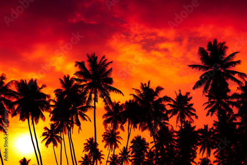 Sunset on tropical beach with coconut palm trees silhouettes and shining sun