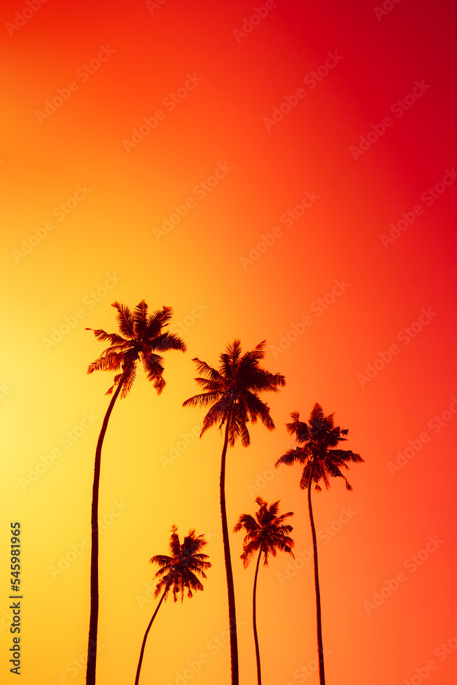 Coconut palm trees silhouettes on tropical beach with clear colorful golden sunset sky as copy space