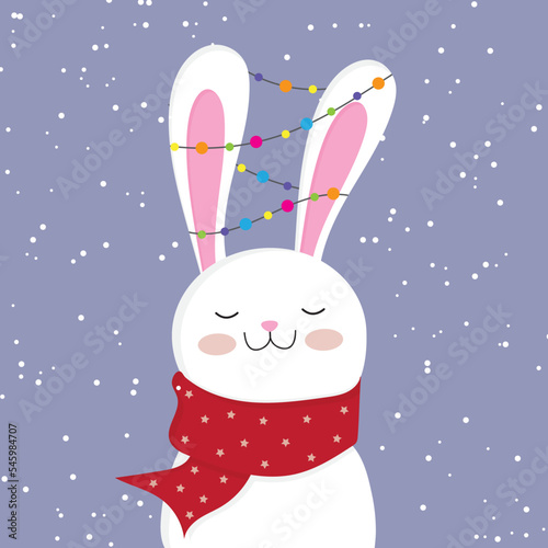 rabbit in the snow
