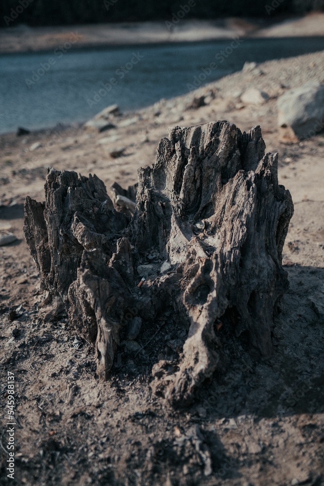 Vertical shot of the small rock near the lake on a sunny day Vertical shot of the small rock near the lake on a sunny day