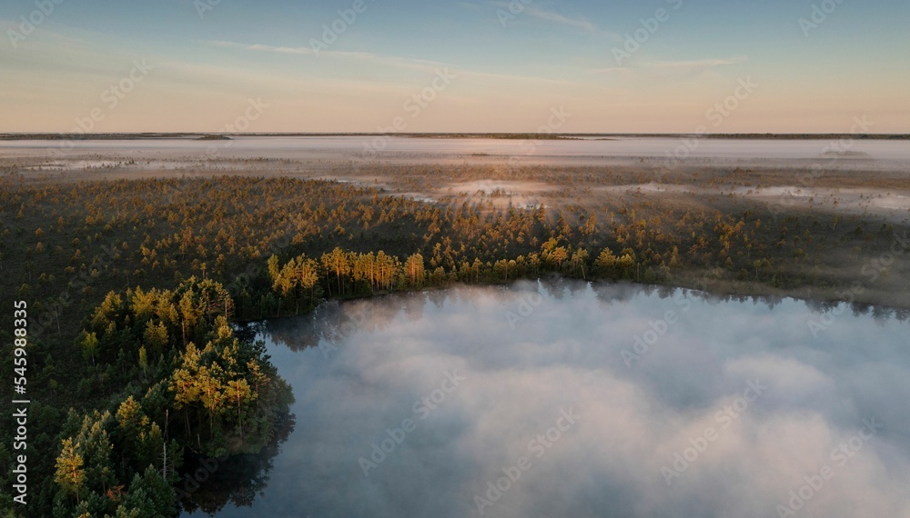 Breathtaking aerial scenery of a lake surrounded by lush pine forest in Nigula, Estonia