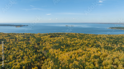 Landscape of autumn forest and sea. Beautiful autumn colors. Aerial view