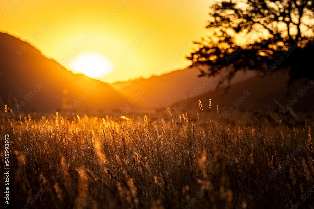 Fototapeta premium Golden sunset over the Namtib Biosphere Reserve and Tiras Mountains in Namibia Africa