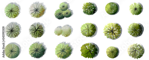 Foto Vector set of tropical green tree top view isolated on white background for lan
