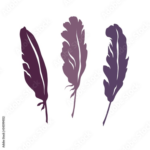 
A set of feathers on a white isolated background. Purple feather silhouettes. Purple, burgundy, crimson feathers.