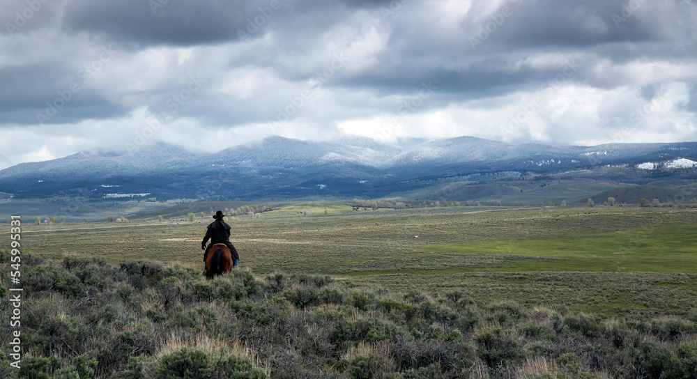 Cowboy Wyoming