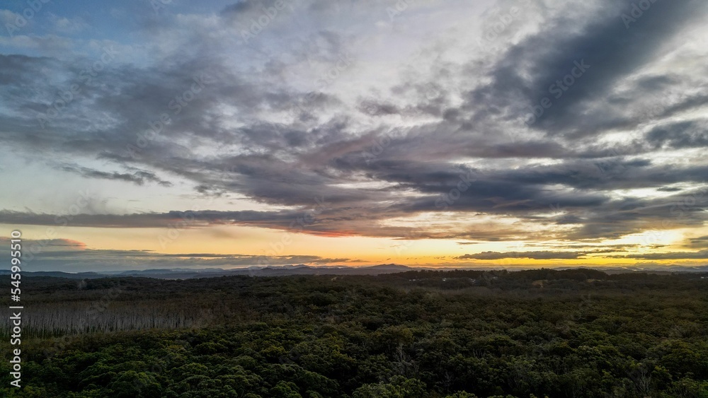 Scenic view of forest landscape near Port Macquarie in New South Wales, Australia during sunset