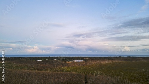 Scenic view of forest landscape near Port Macquarie in New South Wales  Australia