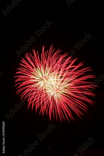 Vertical shot of colorful fireworks in the sky
