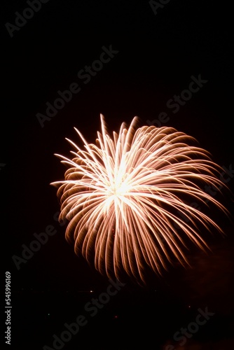 Vertical shot of colorful fireworks