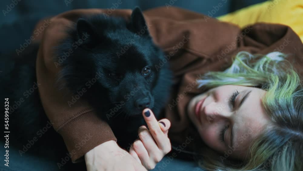 Teenage girl with cute Schipperke dog. Teenage girl with cute Schipperke dog.