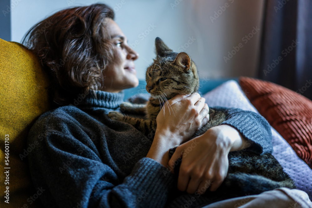 Cheerful smiling young woman in a warm sweater resting at home with a gray cat in her arms