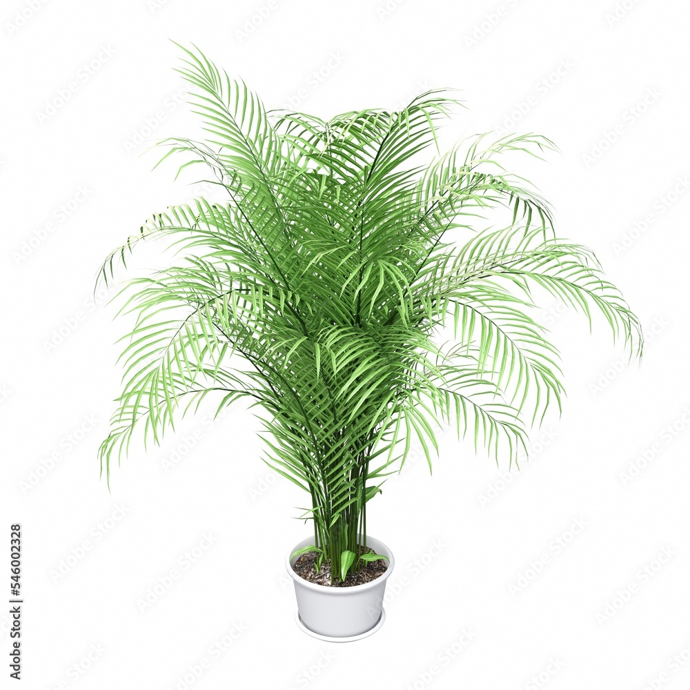 vase with Flowers, isolated on white background, 3D illustration, cg render vase with Flowers, isolated on white background, 3D illustration, cg render