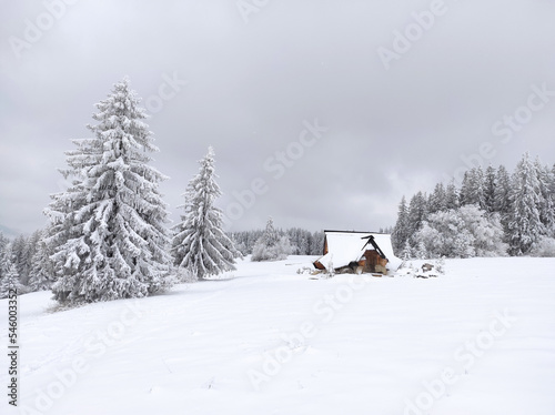 winter landscape spruce snow covered sunny weather fantastic christmas winter mountain © Svitlana