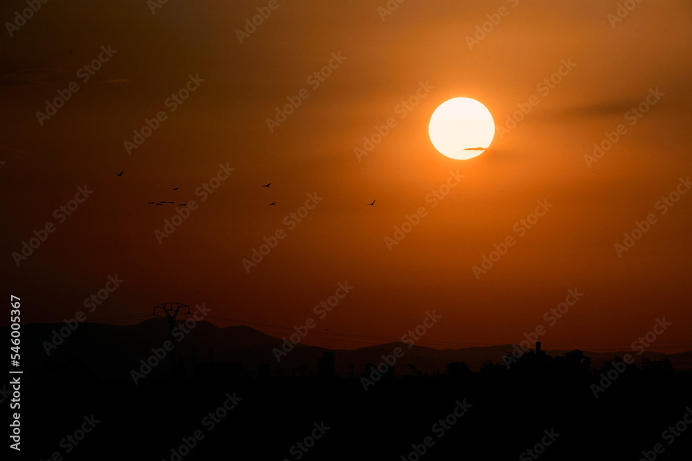 round yellow sun in an orange sky at sunset with some birds nearby round yellow sun in an orange sky at sunset with some birds nearby