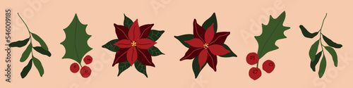 Vector winter Christmas red flower, mistletoe leaves and branches illustration. Hand painted poinsettia, red berries. Cozy cute flat icon set