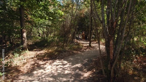 Woman and boy are walking in the forest slow motion in shadows of trees