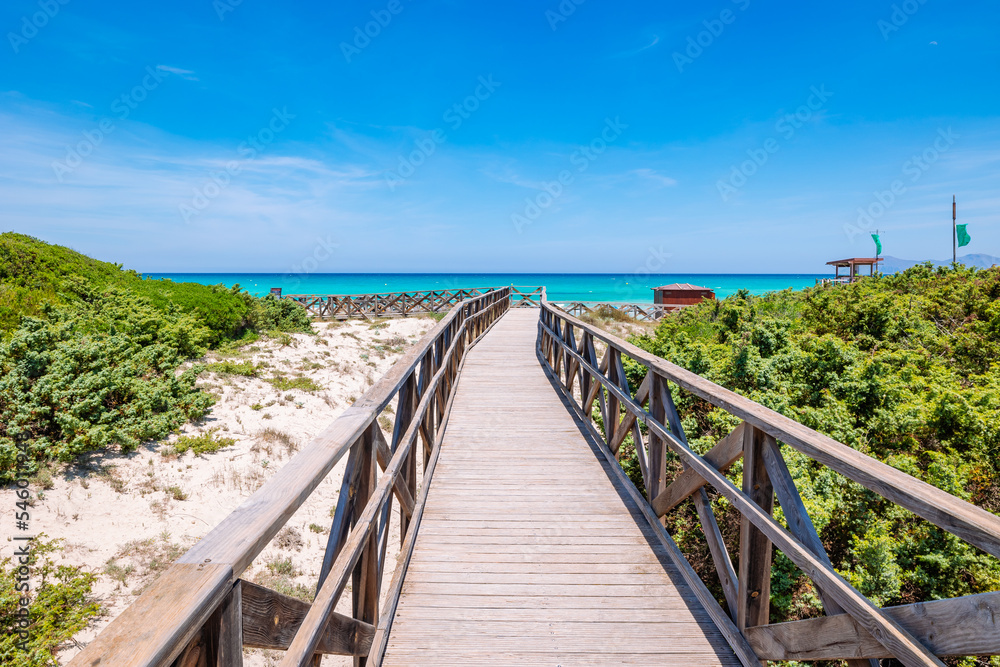 walkway to the beach