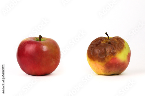 Red ripe apple and rotten spoiled side by side, white background, isolated apples