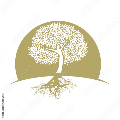 mother earth, lady become beautiful tree