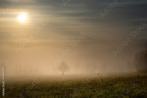 mist over the field