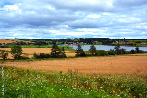 Landscape in summer in Prince Edwards Island