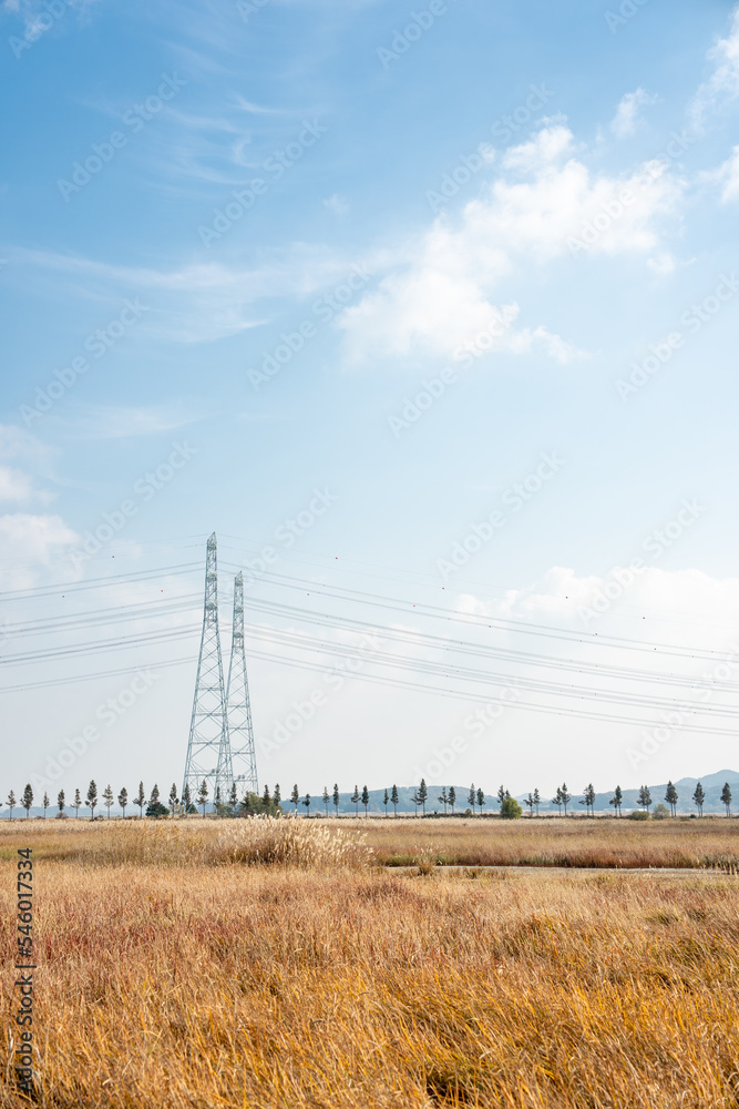 가을 하늘 밑 들판 Stock Photo | Adobe Stock