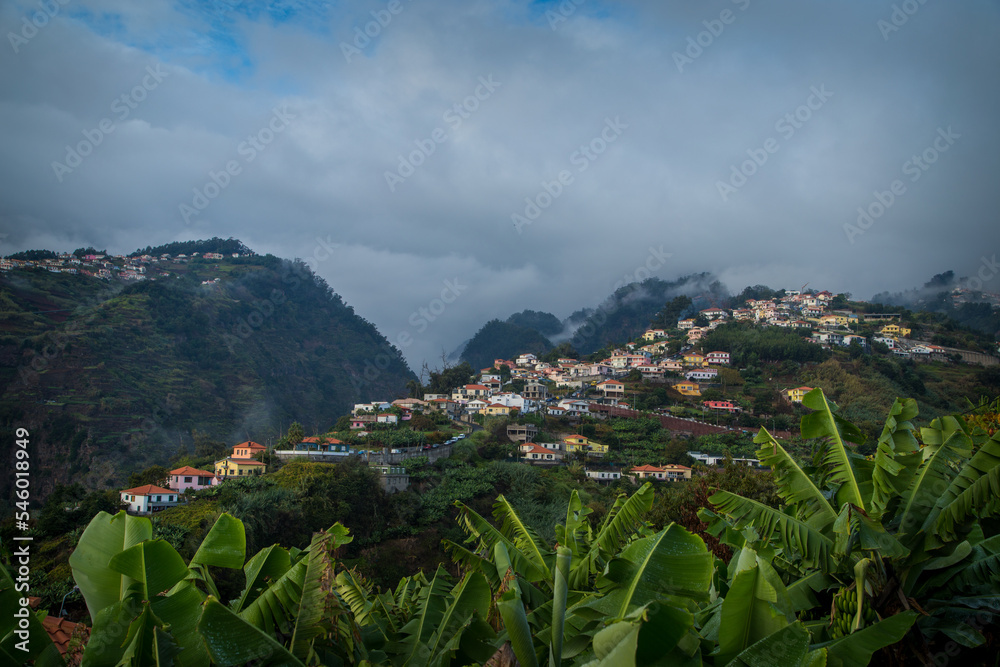 Funchal in madeira and looked at the mountains and banana trees