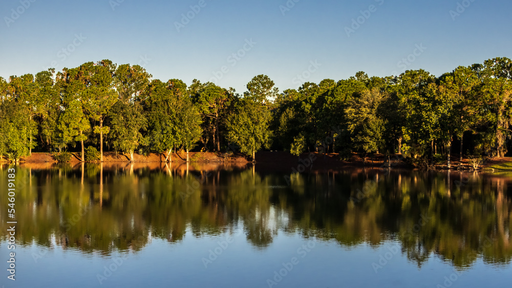 Fototapeta premium Early Morning Lake Reflection