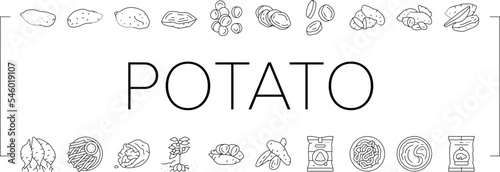 potato sweet food yam orange icons set vector