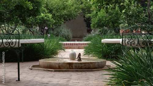 Birds bathing in a fountain in the Secret Garden in Marrakech, Morocco. Real time 4k motion video of small birds washing in water fountain.