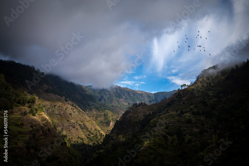 madeira levade in moutains in nature park © jurra8