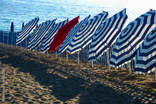 Umbrellas put out to dry after the summer