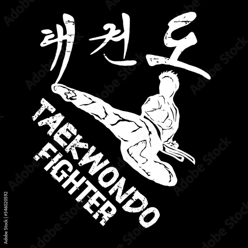 karate taekwondo kungfu logo badge vector