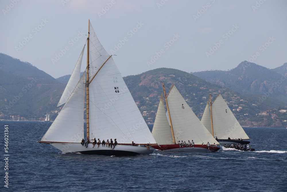 Fototapeta premium Cannes Classic Sailing Event